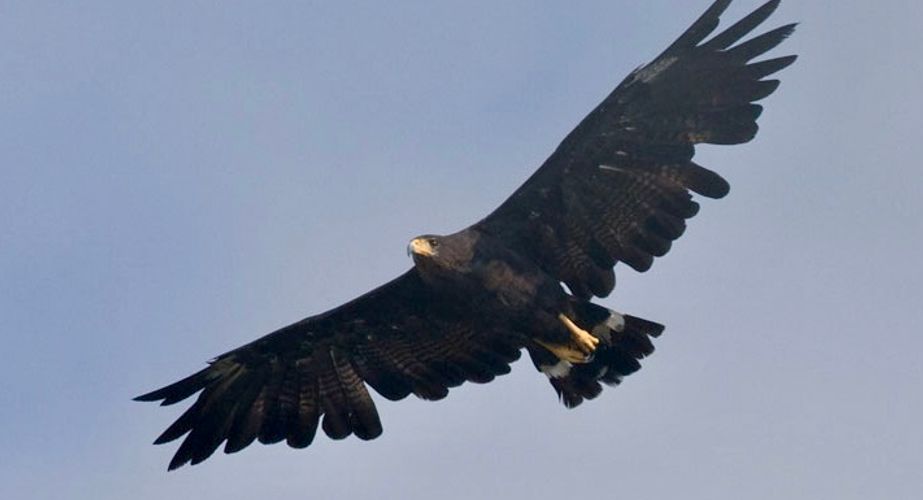 Mexico 112 Mexico 112